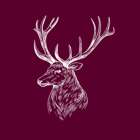 We source the finest venison